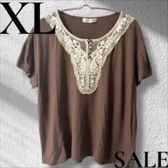 「即日発送」XL Golden Bearレース装飾 ブラウン 半袖シャツ