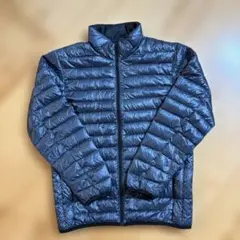 Item thumbnail for item 39c17365-69ab-45dc-b41d-952a5593404a