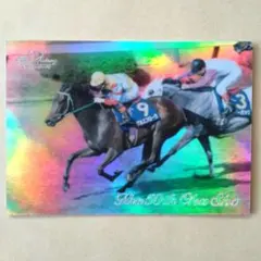 THE VICTORY 1999、アグネスフローラ 銀文字【3点300円】