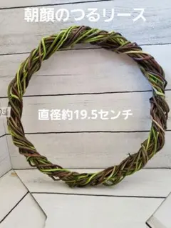 朝顔 つる リース 土台 ⑥ （9月23日作成）　直径約19.5センチ