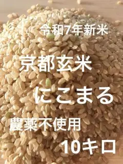 最終値下げ！農家直送 和歌山県産 にこまる 玄米15キロ 精米無料 令和7