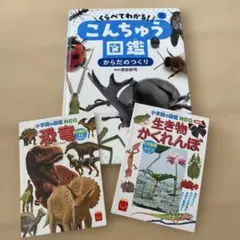 こんちゅう図鑑 からだのつくり　虫　昆虫