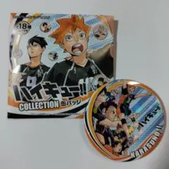 ハイキュー　原画缶バッジ　レア　烏野高校