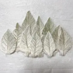 Item thumbnail for item da0c7d75-9560-4f0a-a0c4-5356d5d8cfa7