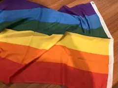 【値下げ】 レインボー フラッグ 大 旗 9枚セット 87×150