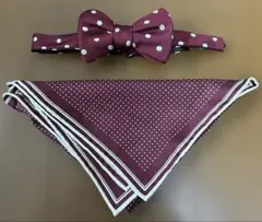 Eichi 蝶ネクタイとポケットハンカチーフセット