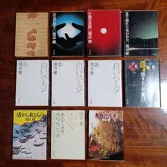 開高健角川文庫11冊セットです。