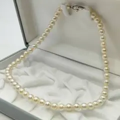 Item thumbnail for item 35816668-d3cd-4c02-a1cc-0bd0e7c2c5dd