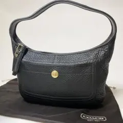 未使用保管品✨️COACH ショルダーバッグ アクセサリーポーチ レザー 黒
