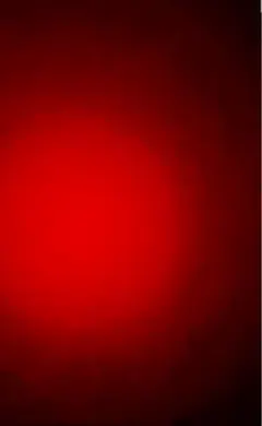 しゅうへい様専用