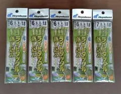 ハヤブサ　ライトタックル落とし込み。