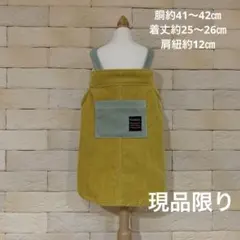 Item thumbnail for item 3cd09d4d-a08d-49d4-9258-fde5d973b8c6