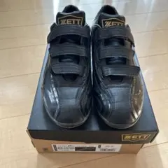 Item thumbnail for item 176c7b4c-92f8-41c0-a294-85986e66f5b3