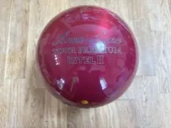 ナノデス アキュライン ツアープレミアム インテル2 15p ボウリング