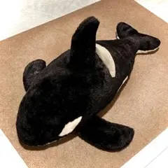 鴨川シーワールド】 シャチくじ1等賞 特大ぬいぐるみ 約80cm - メルカリ