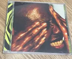 Cécile McLorin Salvant "Oh Snap"