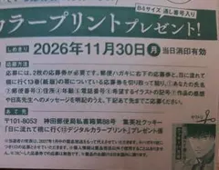 日に流れて橋に行く 13巻 デジタルカラープリント応募券