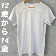 ホワイト Tシャツ 12歳 13歳 14歳ラグランスリーブ スポーツ　ランニング