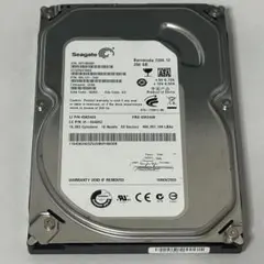 ジャンク品 Seagate 250GB ST3250318AS SATA HDD