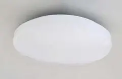 Item thumbnail for item 47cbf4ce-198b-47d7-bb97-f60fd3e1a4e1