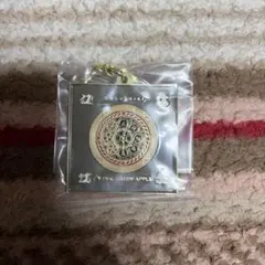 雪*音様 Mrs. GREEN APPLEキーホルダー クスシキ