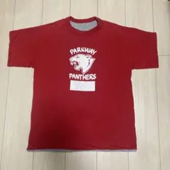 ダブルフェイス　リバーシブル　Ｔシャツ　ビンテージのサムネイル