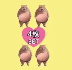 スクイーズ　 お腹シール おなかぷにぷにシール ぷにぷに 猫 シール　シール手帳