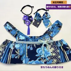 Item thumbnail for item de9bc011-d042-4f0a-96b7-d390e81aa96b