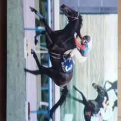 1999年 天皇賞(秋) スペシャルウィーク レプリカゼッケン 未使用競馬