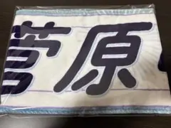 乃木坂46 菅原咲月 2024 SUMMER TOUR タオル