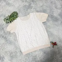 Item thumbnail for item 36ddc001-3a75-4a6e-89bd-8d2331ada850