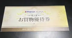 YAMADA HLDGS. お買物優待券 500円×6枚