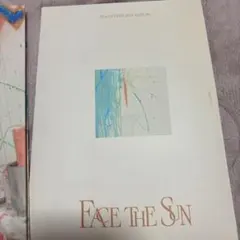 SEVENTEEN FACE THE SUN Carat盤 バーノン