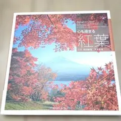 郷倉和子 梅香る 1994年 梅に宿る祈り―郷倉和子が生涯をかけて描いた花