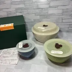 三郷陶器 Disney コラボ レンジパック 保存皿