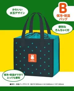 Item thumbnail for item f31c2a9c-cc7e-441c-b2e0-100af189430b