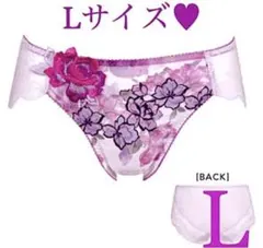 入手困難品✨WACOAL サルート❤️サルート　サニタリーショーツ✨Lサイズ