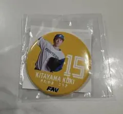 北海道日本ハムファイターズ ♯15 北山投手 缶バッジ FAV限定ガチャ