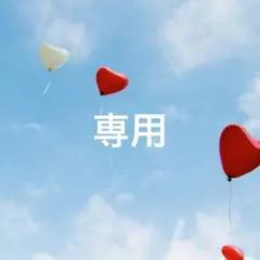 にゃんこ様 リクエスト 2点 まとめ商品