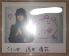 2025年最新】STU48 7ならべの人気アイテム - メルカリ