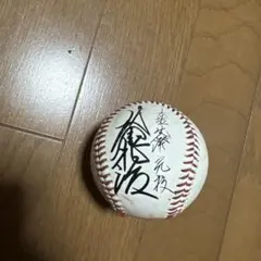 千葉ロッテマリーンズ サインボール 2019.11.7 大谷智久 - メルカリ