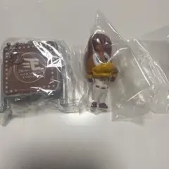 東北楽天ゴールデンイーグルス　セット