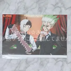 Dr.STONE 応募者全員サービス 最終話まるごとデジタル原稿プリント