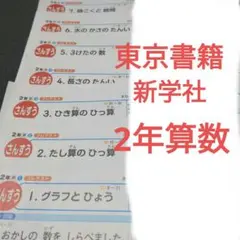 算数 小学2年生 プレテスト　東京書籍　新学社　カラーテストのサムネイル