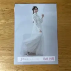 櫻坂46 向井純葉 自業自得 ジャケット写真衣装 生写真