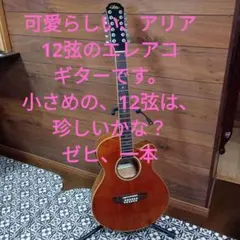 Aria アコースティックギター ADL-85N 本体 - メルカリ