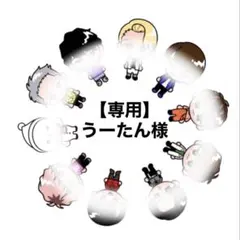 【専用】うーたん様