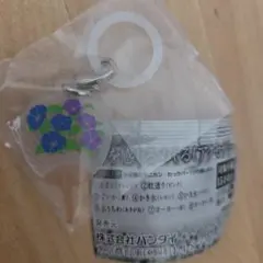 涼を感じるめじるしアクセサリー　水うちわ