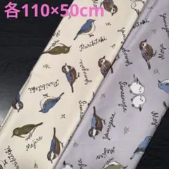 【Retro Rhythm】ことり柄生地　オックス　2点　《各110×50cm》