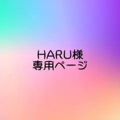 ☆HARU様専用ページ☆ ※商品説明をご確認ください